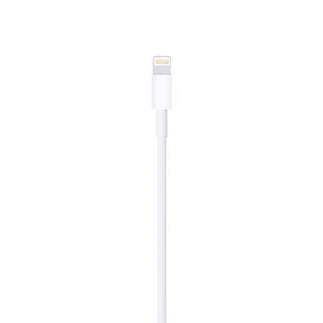 Câble Original Lightning vers USB 1m 3