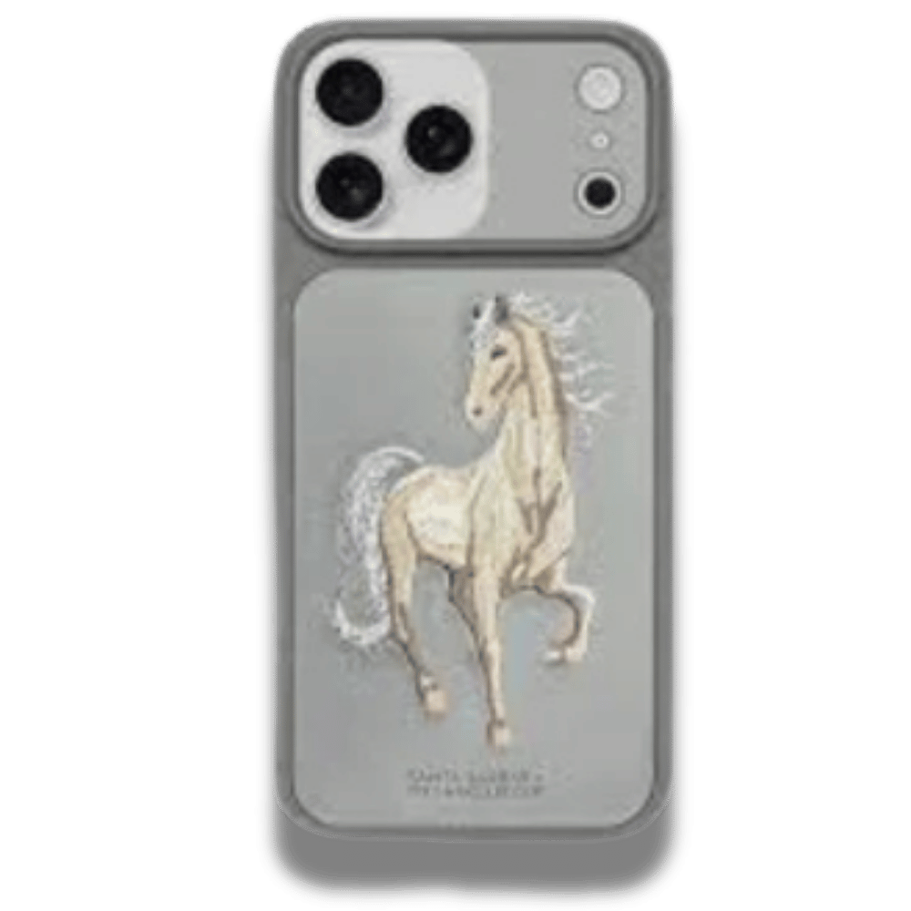 Coque iphone Santa Barbara Questa Gris with Magsafe